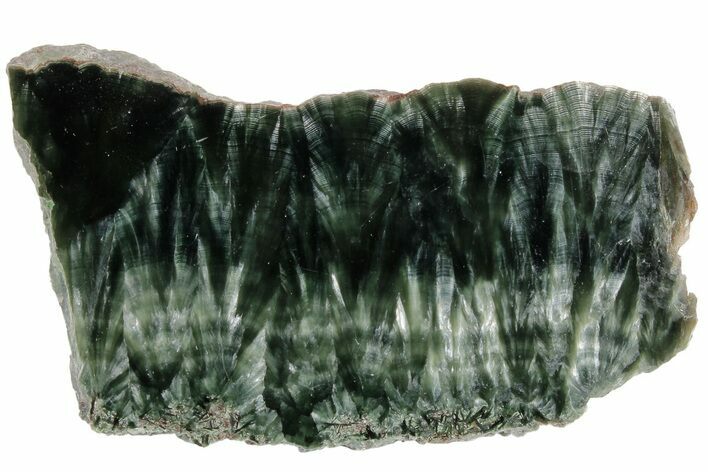 Polished Seraphinite Slab - Siberia #183483